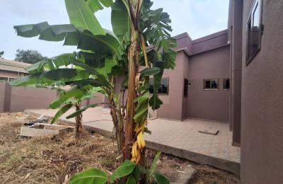 Three bedrooms for rent